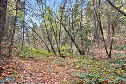 0 Starkes Grade Road, Pollock Pines, CA 95726 - Photo 19