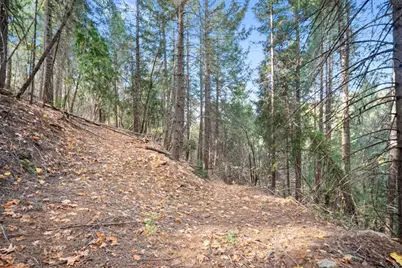 0 Starkes Grade Road, Pollock Pines, CA 95726 - Photo 13