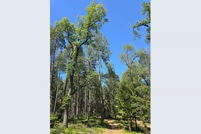 14599 Tumbling Creek, Nevada City, CA 95959 - Photo 7