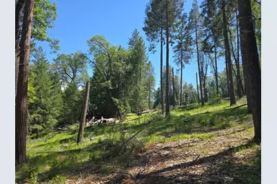 14599 Tumbling Creek, Nevada City, CA 95959 - Photo 3