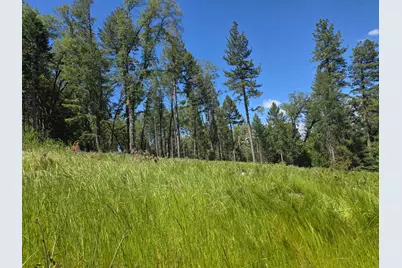14599 Tumbling Creek, Nevada City, CA 95959 - Photo 5