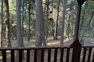 Pony Express Trail, Pollock Pines, CA 95726 - Photo 19