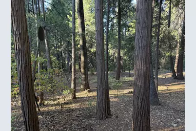 Pony Express Trail #37, Pollock Pines, CA 95726 - Photo 17