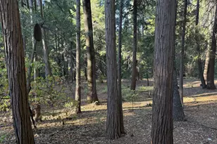 Pony Express Trail, Pollock Pines, CA 95726 - Photo 17