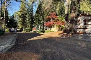 Pony Express Trail, Pollock Pines, CA 95726 - Photo 5