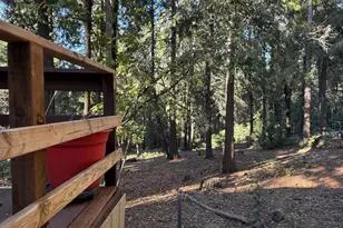 Pony Express Trail, Pollock Pines, CA 95726 - Photo 25
