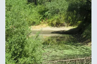 2563 Woodhouse Mine Road, West Point, CA 95255 - Photo 23