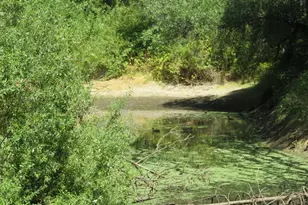 2563 Woodhouse Mine Rd, West Point, CA 95255 - Photo 23