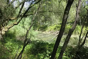 2563 Woodhouse Mine Rd, West Point, CA 95255 - Photo 25
