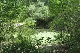 2563 Woodhouse Mine Rd, West Point, CA 95255 - Photo 21