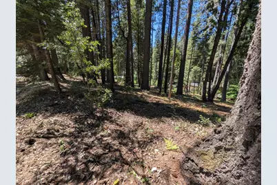 16819 Pasquale Road, Nevada City, CA 95959 - Photo 7