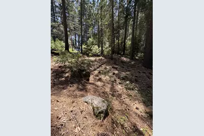 16819 Pasquale Road, Nevada City, CA 95959 - Photo 9