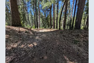 16819 Pasquale Road, Nevada City, CA 95959 - Photo 5