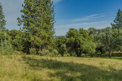 6216 Trout Lane, Mountain Ranch, CA 95246 - Photo 3