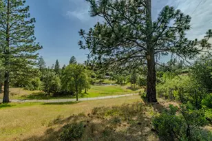 6216 Trout Ln, Mountain Ranch, CA 95246 - Photo 1