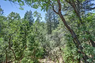23998 Stable Rd, Sonora, CA 95370 - Photo 29