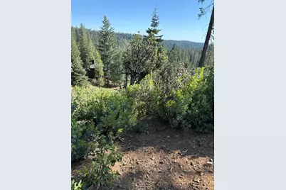 1088 Greensboro Way, Arnold, CA 95223 - Photo 1