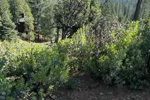 1088 Greensboro Way, Arnold, CA 95223 - Photo 1