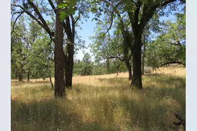 4426 Bald Mountain Road, West Point, CA 95255 - Photo 13