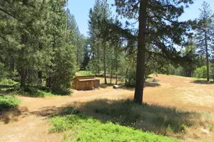4426 Bald Mountain Rd, West Point, CA 95255 - Photo 15