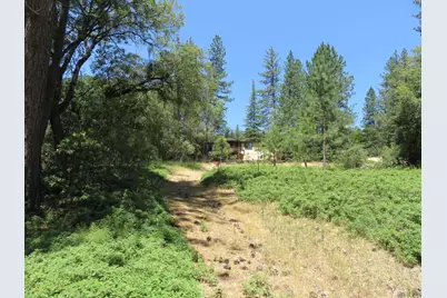 4426 Bald Mountain Road, West Point, CA 95255 - Photo 11