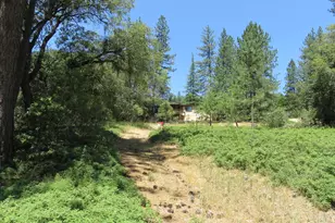 4426 Bald Mountain Rd, West Point, CA 95255 - Photo 11