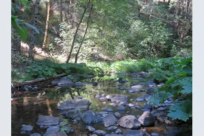 4426 Bald Mountain Road, West Point, CA 95255 - Photo 37