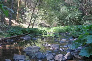 4426 Bald Mountain Rd, West Point, CA 95255 - Photo 37