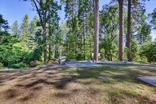 11885 Tree Top Cir, Nevada City, CA 95959 - Photo 61