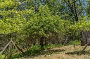 20310 Hwy 26, West Point, CA 95255 - Photo 41