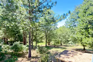 3887 Northwood Dr, Murphys, CA 95247 - Photo 25