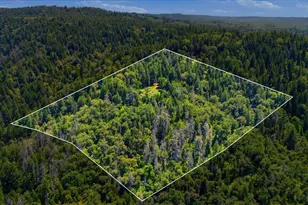 19643 Sages Rd, Nevada City, CA 95959 - Photo 39