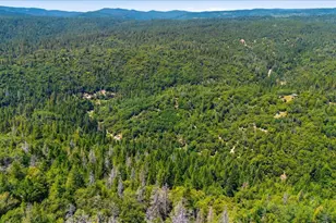 19643 Sages Rd, Nevada City, CA 95959 - Photo 31