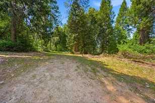 19643 Sages Rd, Nevada City, CA 95959 - Photo 25