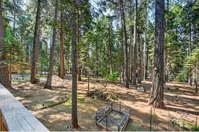 20191 Kit Court, Volcano, CA 95689 - Photo 57