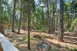 20191 Kit Ct, Volcano, CA 95689 - Photo 57
