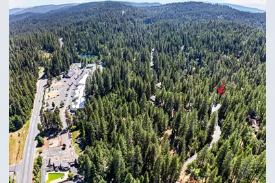 2346 Black Oak Drive, Arnold, CA 95223 - Photo 35