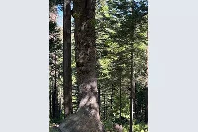 1619 Shoshone, Dorrington, CA 95223 - Photo 5