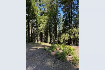 1619 Shoshone, Dorrington, CA 95223 - Photo 1