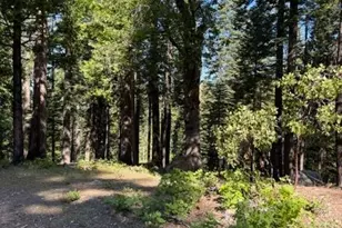 1619 Shoshone, Dorrington, CA 95223 - Photo 1