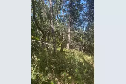 0 Jarvis Rd, Santa Cruz, CA 95065 - Photo 7