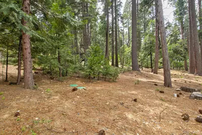 2347 Karock Road, Dorrington, CA 95223 - Photo 55