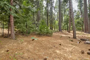 2347 Karock Rd, Dorrington, CA 95223 - Photo 55
