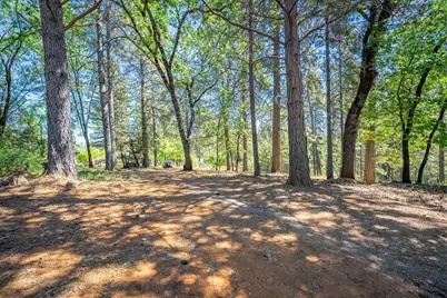1115 Pine Vista Lane, Meadow Vista, CA 95722 - Photo 41