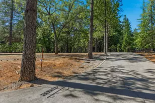 23335 Fortress Way, Pioneer, CA 95666 - Photo 81