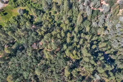 2469 Secret Ravine Trail, Cool, CA 95614 - Photo 71