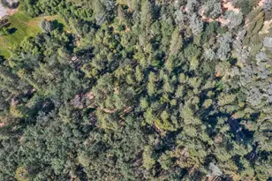 2469 Secret Ravine Trail, Cool, CA 95614 - Photo 71