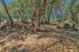 2469 Secret Ravine Trail, Cool, CA 95614 - Photo 67