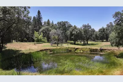 3220 Dawn Rose Lane, Placerville, CA 95667 - Photo 53