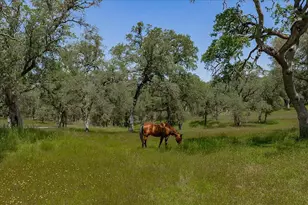 7087 Latigo St, Angels Camp, CA 95222 - Photo 25